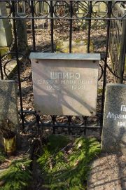Шпиро Сарра Марковна, Москва, Востряковское кладбище